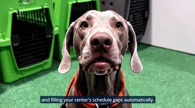 The AI That Actually Runs Your Imaging Center